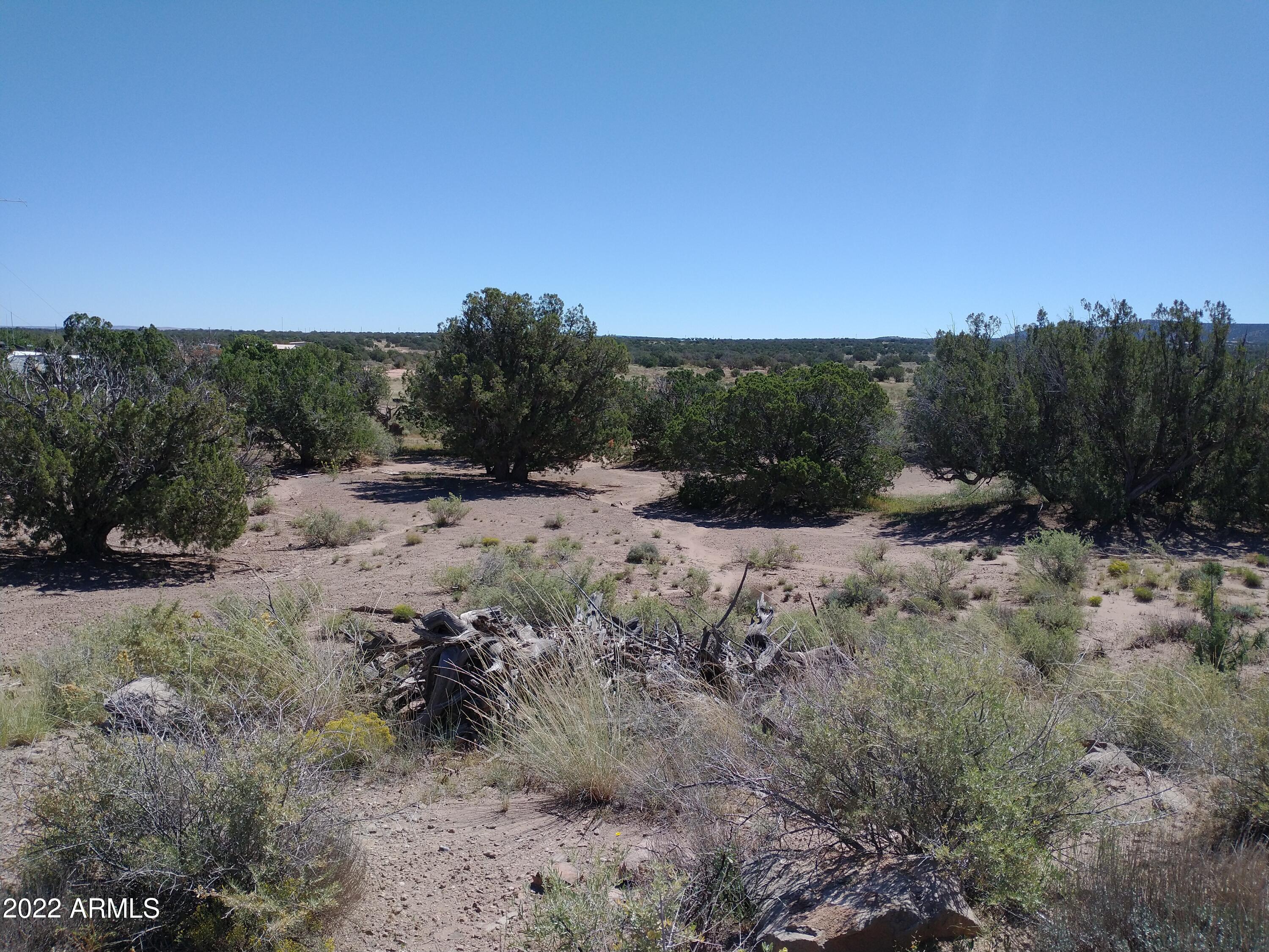 4021 Sorrel Road, Unit 189 Snowflake, AZ 85937 - Photo 2 of 11 IMG_20220917_104856908