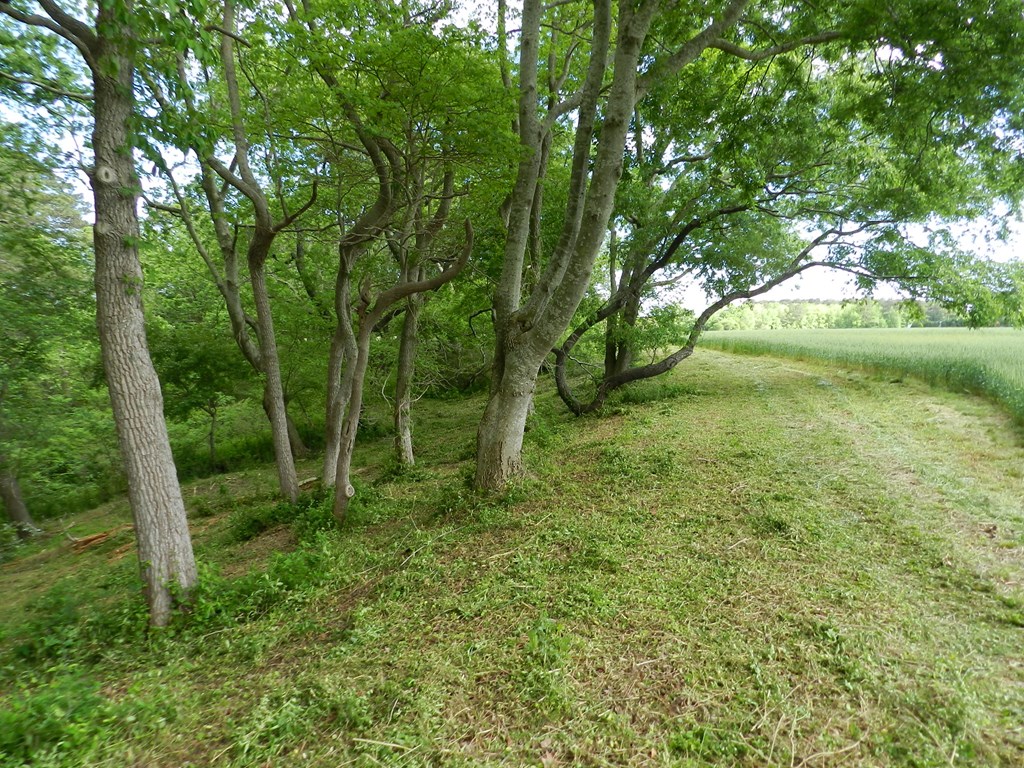 Lot1 Miles Wharf Road, Unit 1 Exmore, VA 23350 - Photo 23 of 33