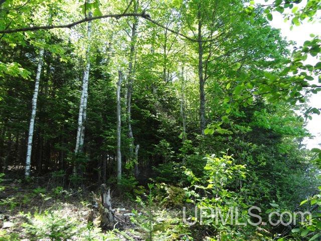 192 Tamarack Lake Road Iron River, MI 49935 - Photo 18 of 23
