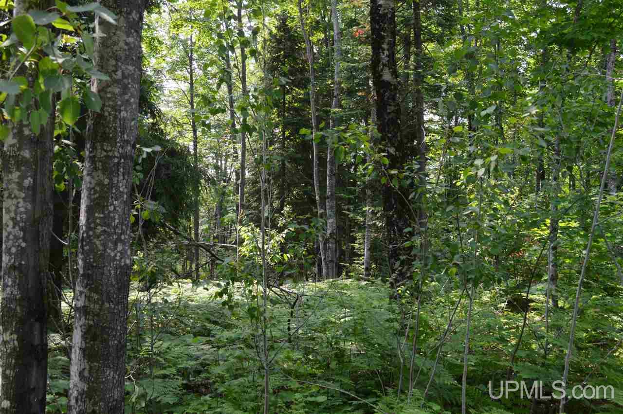 Tbd Herman Road Lanse, MI 49946 - Photo 2 of 50 Gallery Image 2