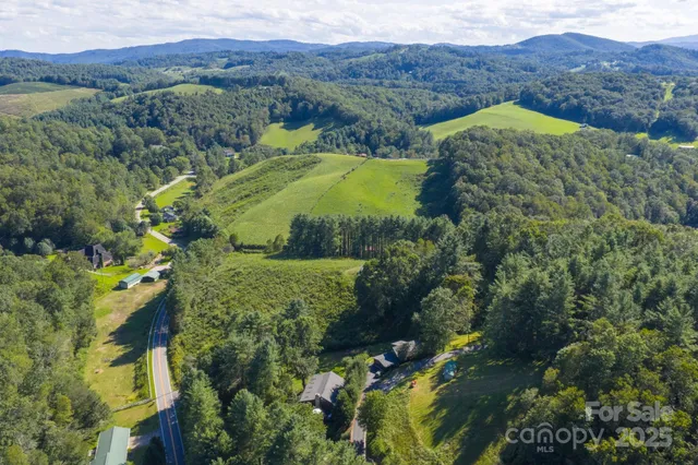 a view of a lush green hillside and a houses