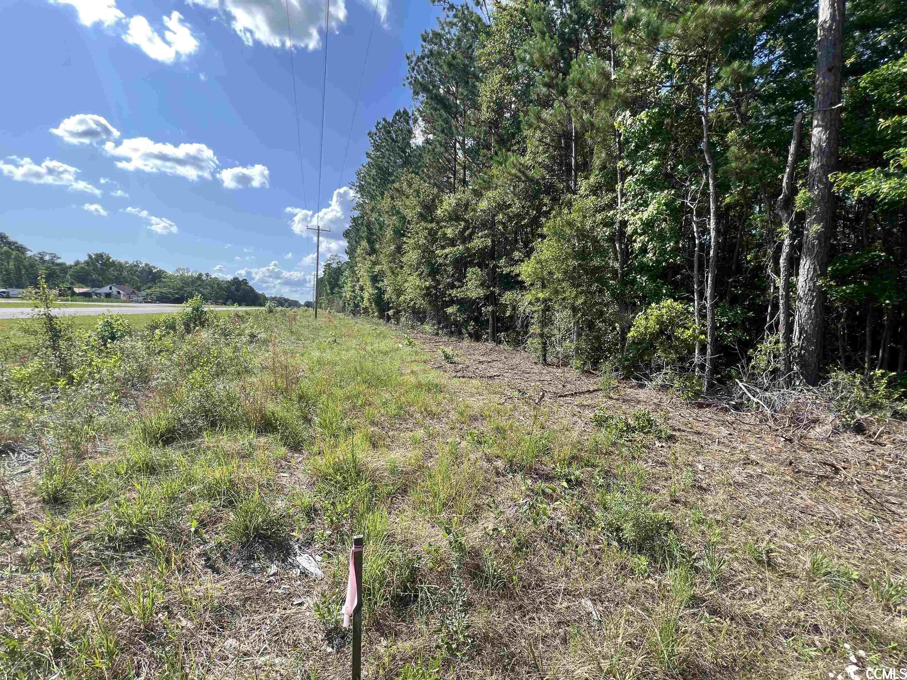 Tbd Blackjack Lane Andrews, SC 29510 - Photo 12 of 13