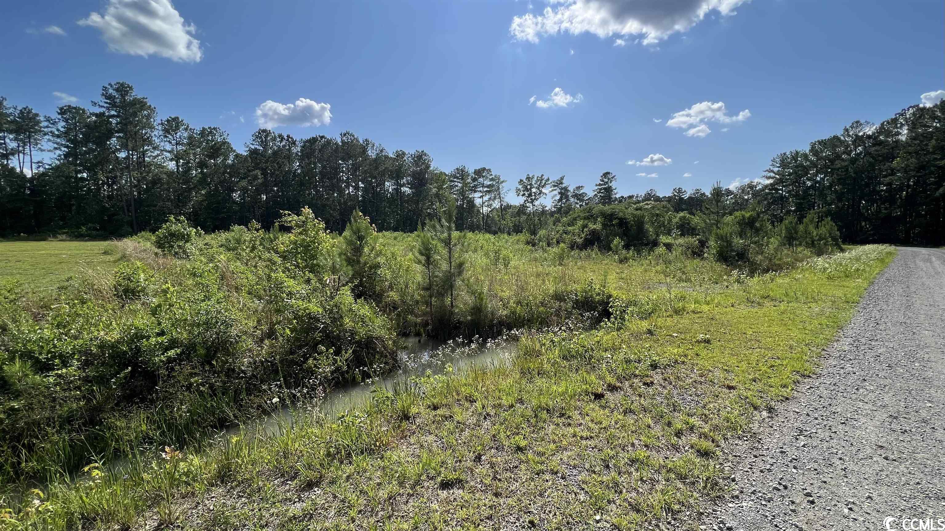 Tbd Blackjack Lane Andrews, SC 29510 - Photo 2 of 13