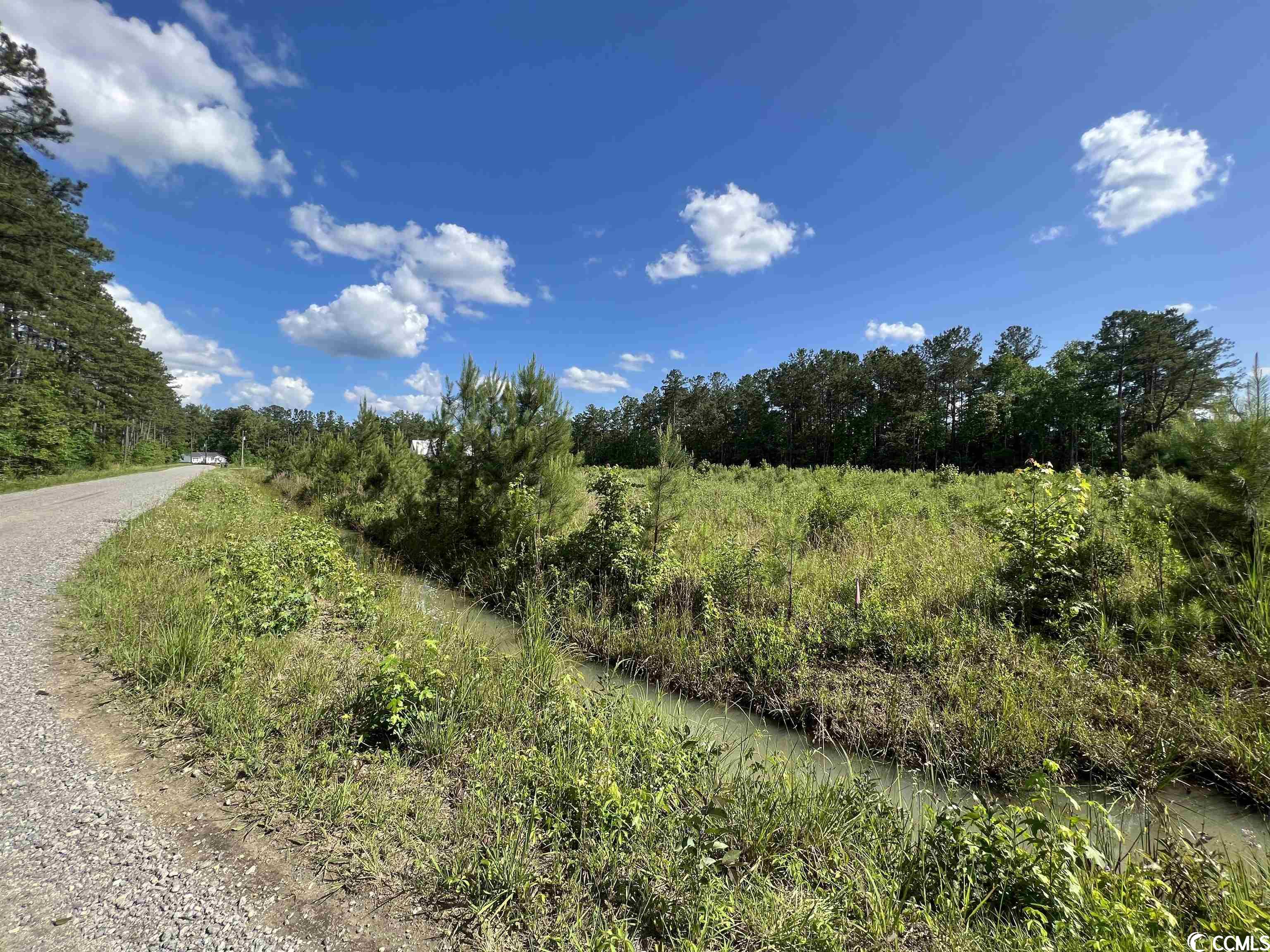 Tbd Blackjack Lane Andrews, SC 29510 - Photo 5 of 13