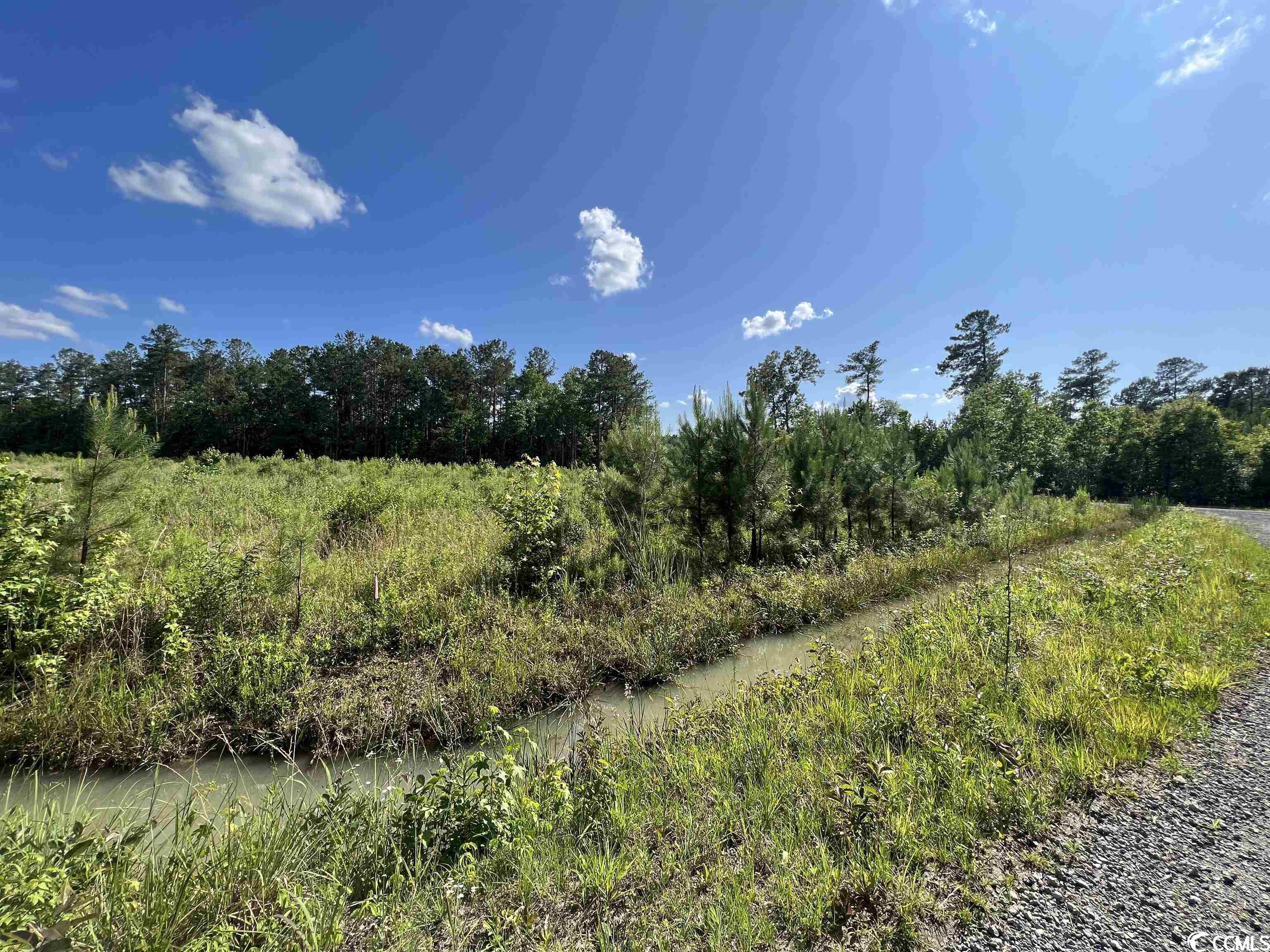 Tbd Blackjack Lane Andrews, SC 29510 - Photo 6 of 13
