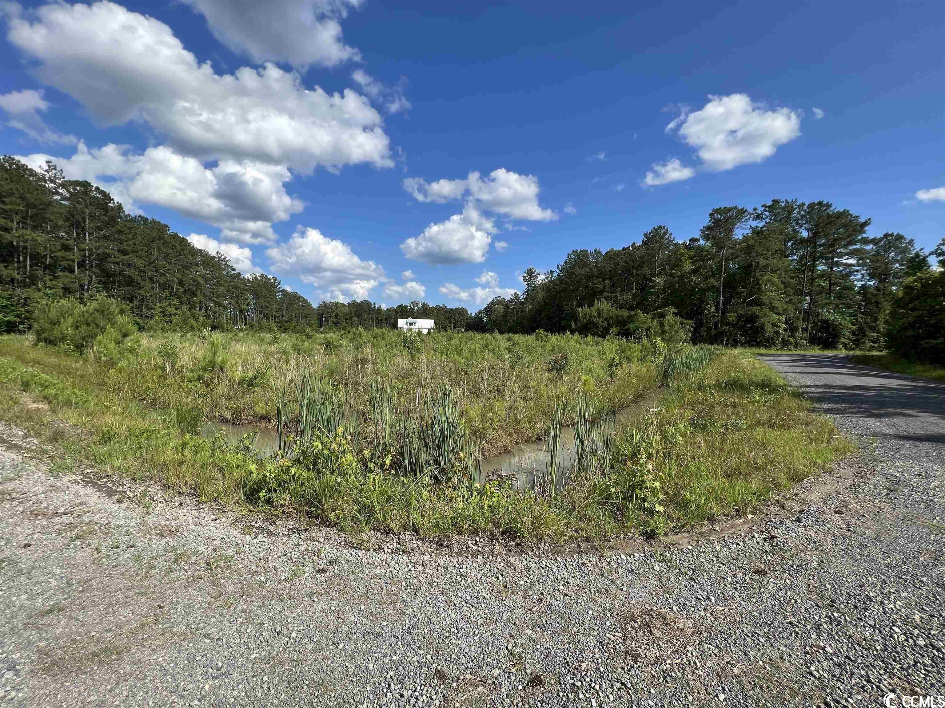 Tbd Blackjack Lane Andrews, SC 29510 - Photo 8 of 13
