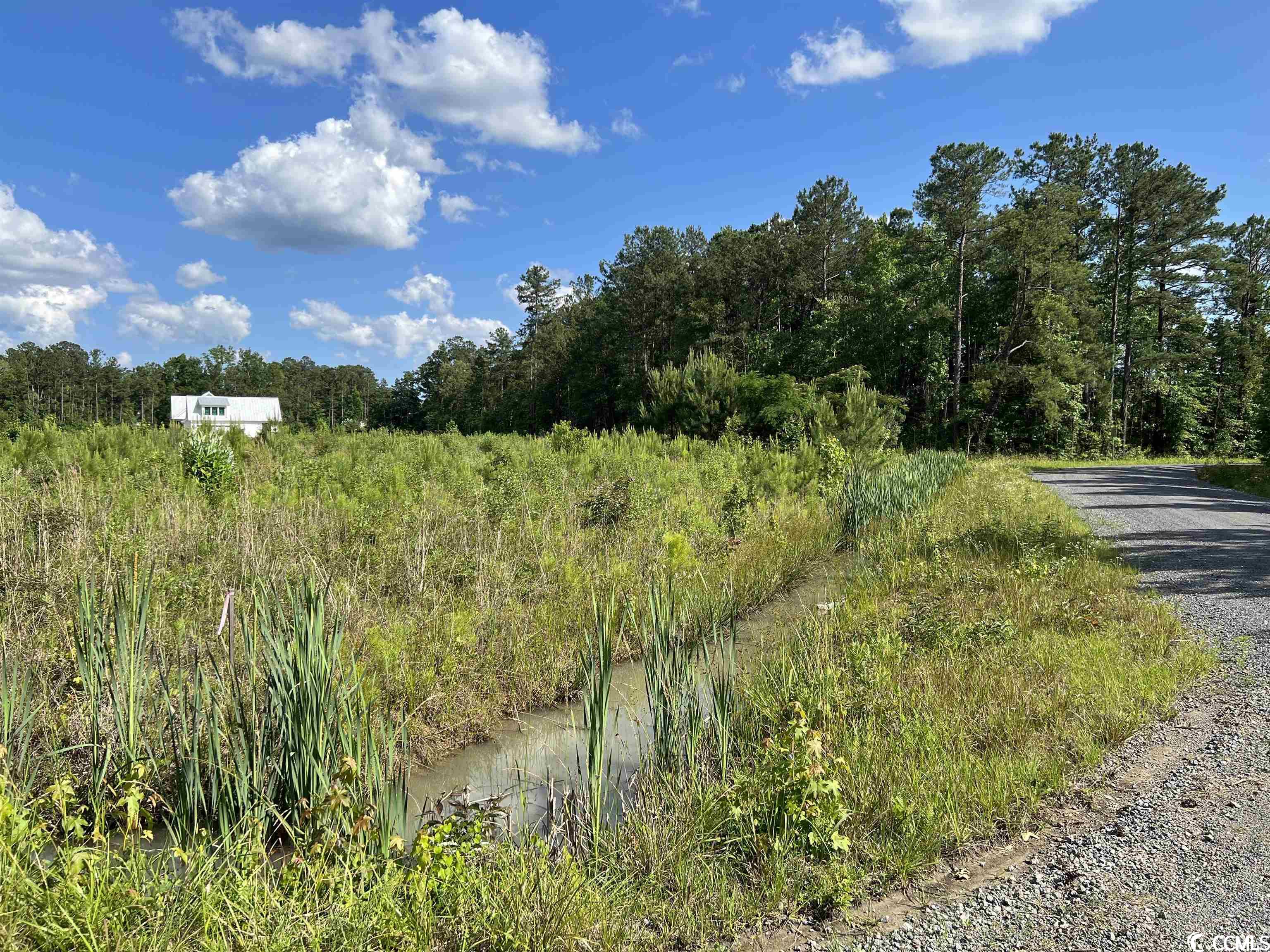 Tbd Blackjack Lane Andrews, SC 29510 - Photo 9 of 13