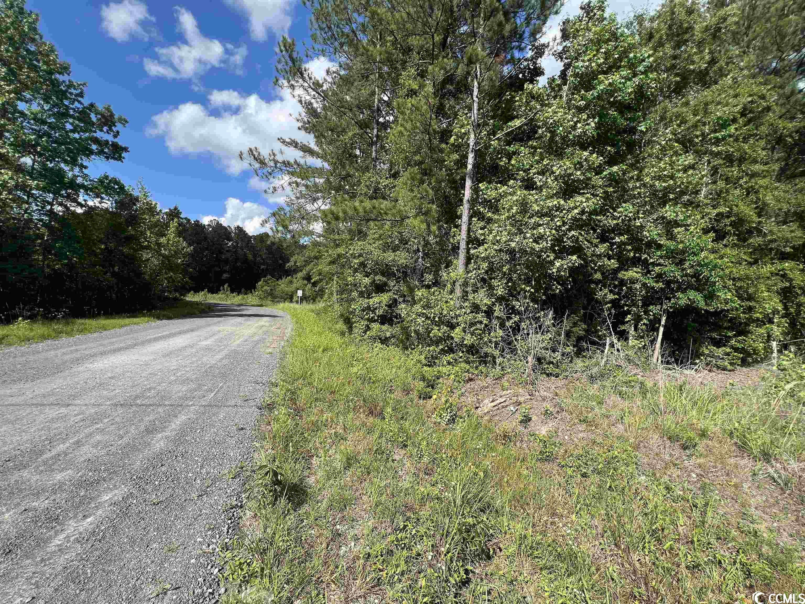 Tbd Blackjack Lane Andrews, SC 29510 - Photo 10 of 13