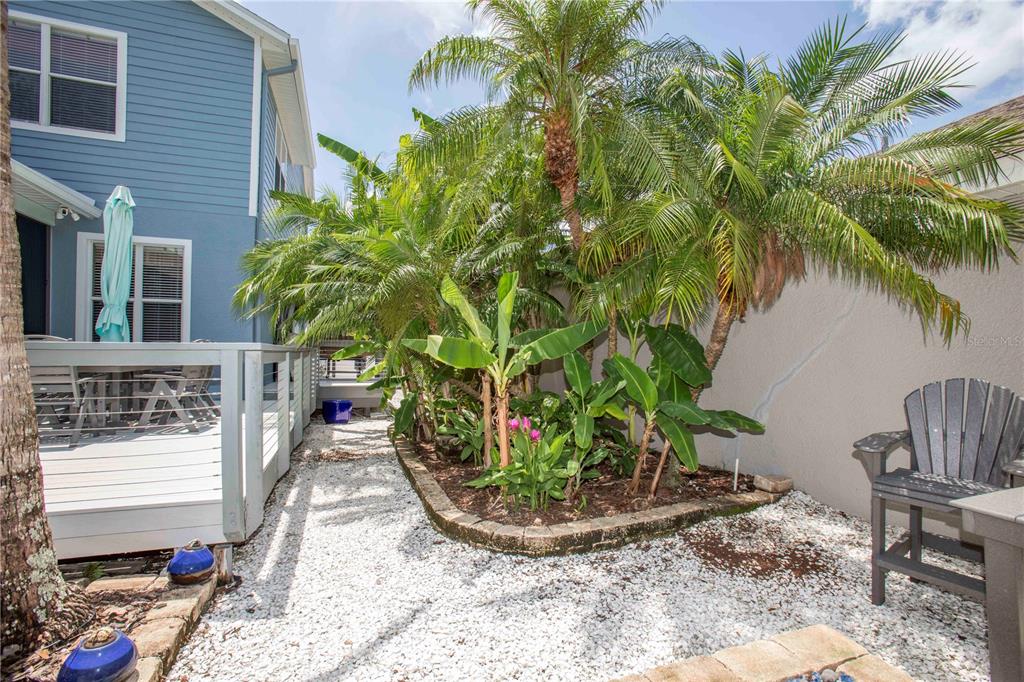 3746 Dogtrot Street New Port Richey, FL 34655 - Photo 38 of 50
