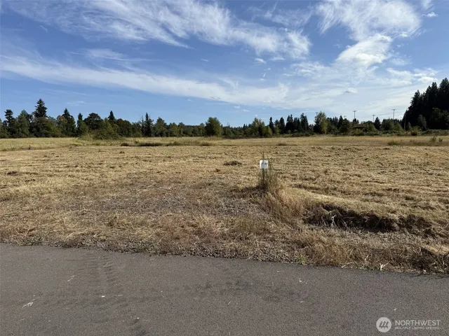 a view of a lake from a yard