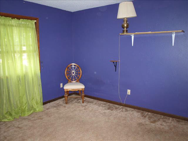 13972 Todd Road Petersburg, MI 49270 - Photo 10 of 16 BR 2 or 4