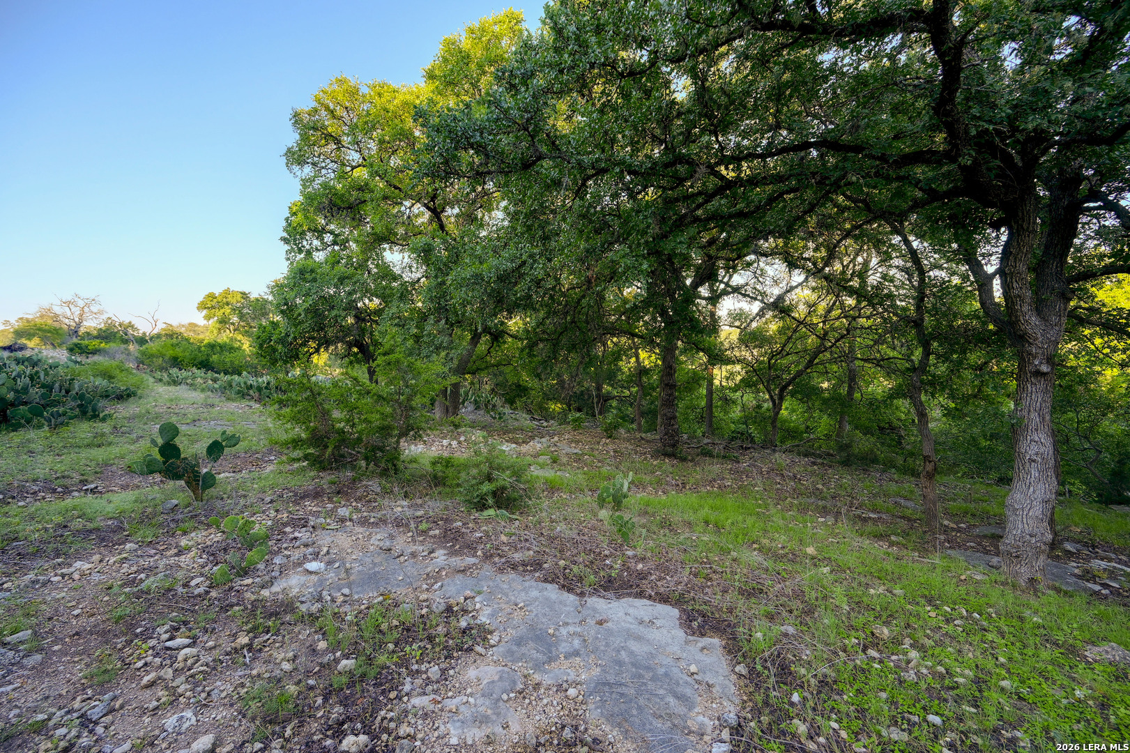 315 Rittimann Road Spring Branch, TX 78070 - Photo 37 of 51