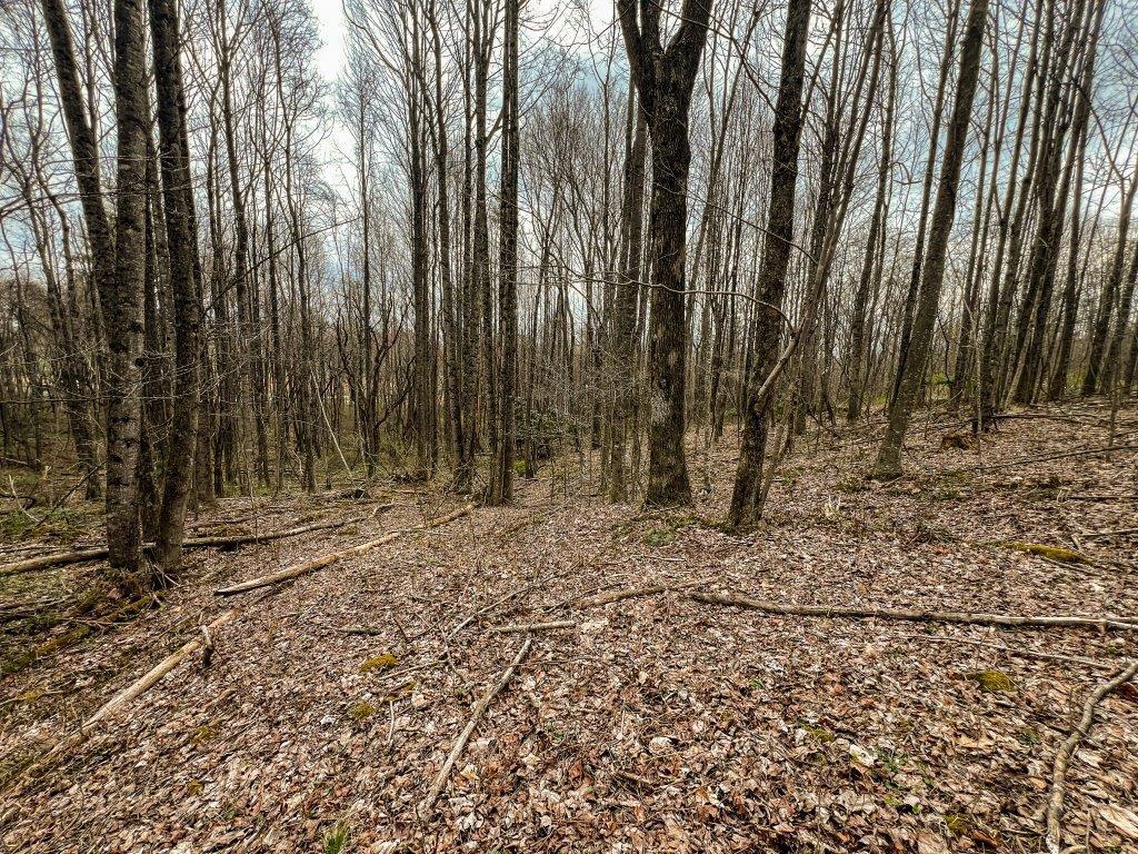 1 Keno Road, Unit 1 Fancy Gap, VA 24328 - Photo 1 of 20 Gallery Image 1