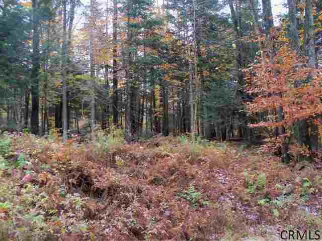 Fraser Road Hoffmeister, NY 13353 - Photo 6 of 8 Photo 6