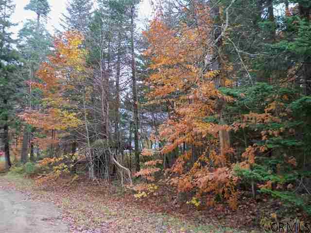 Fraser Road Hoffmeister, NY 13353 - Photo 7 of 8 Photo 7