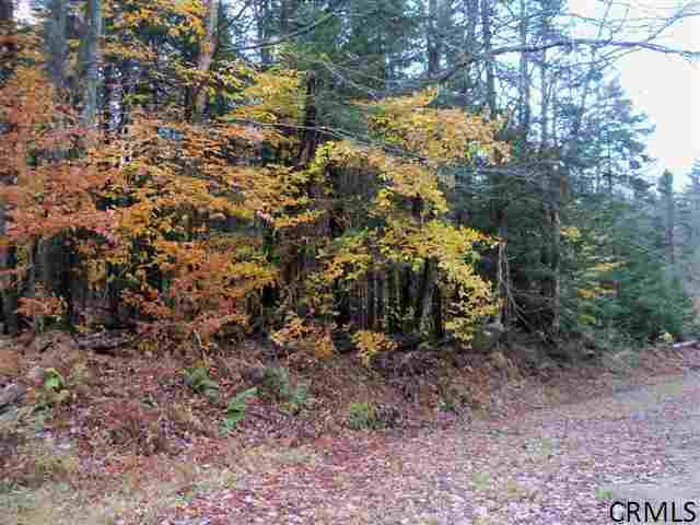 Fraser Road Hoffmeister, NY 13353 - Photo 8 of 8 Photo 8