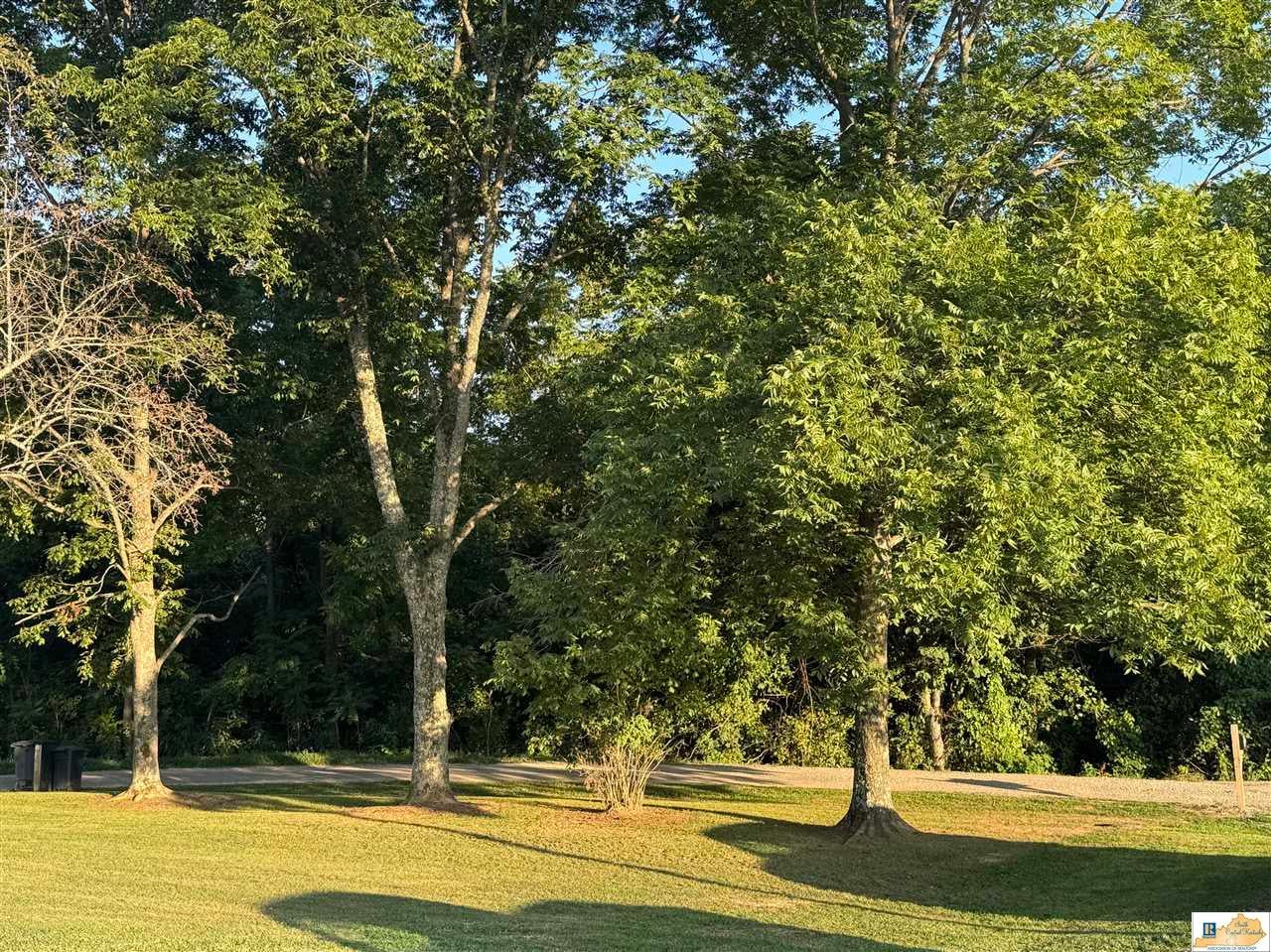1380 Hubbard Cemetery Road Edmonton, KY 42129 - Photo 25 of 31 Gallery Image 25