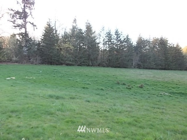 10310 210th Lane Southwest Rochester, WA 98579 - Photo 7 of 25