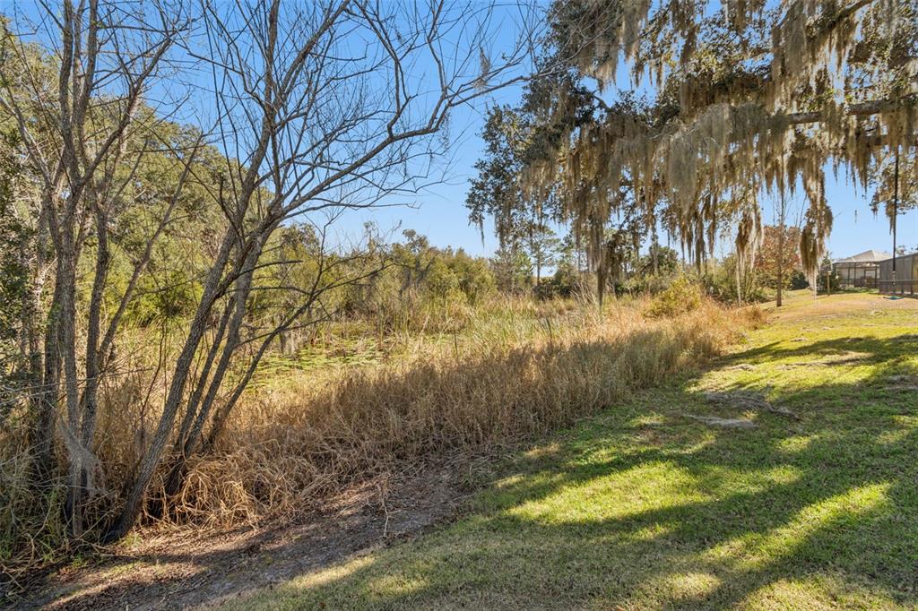 5460 Chestnut Ridge Road Dade City, FL 33523 - Photo 55 of 65