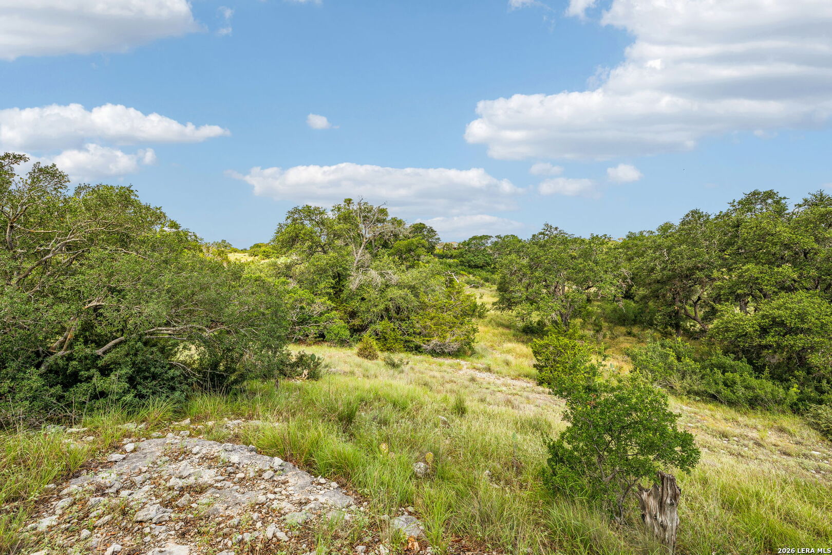155 Obscure Way Spring Branch, TX 78070 - Photo 25 of 25