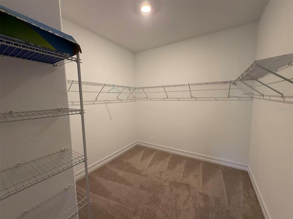 4565 Ancona Way Wesley Chapel, FL 33543 - Photo 17 of 22