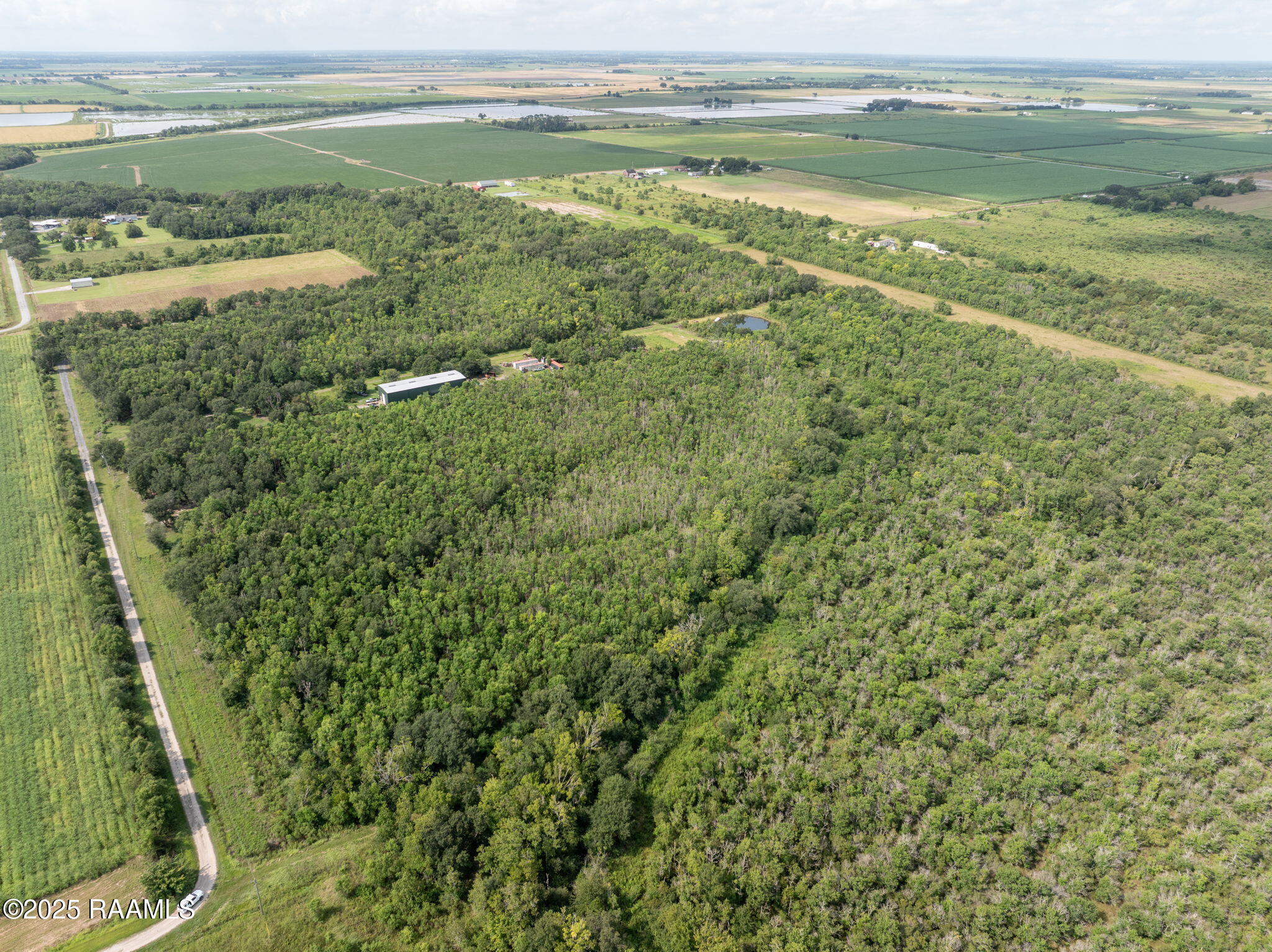 Tbd Dubose Road Rayne, LA 70578 - Photo 6 of 13