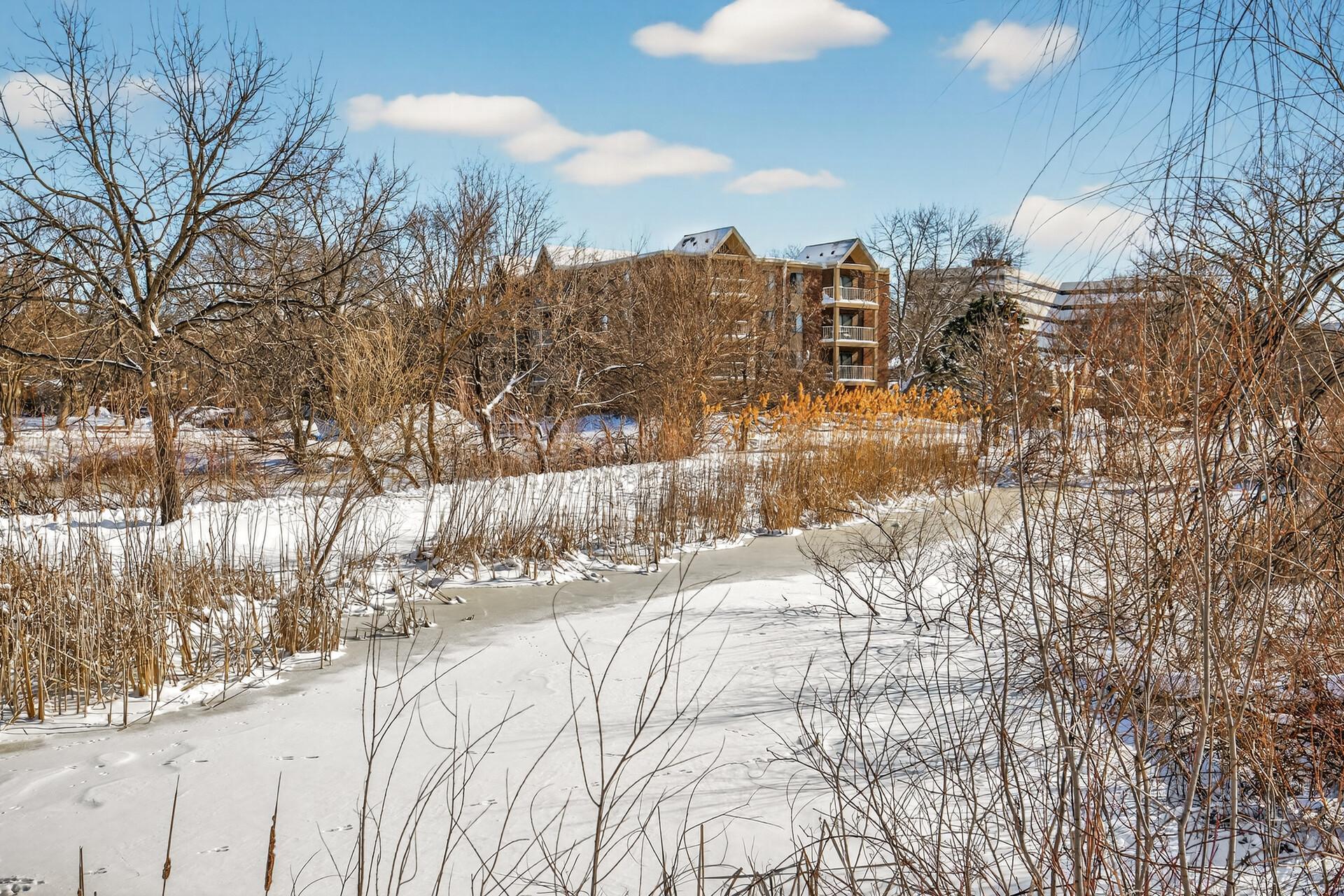 450 Ford Road, Unit 313 St. Louis Park, MN 55426 - Photo 28 of 29