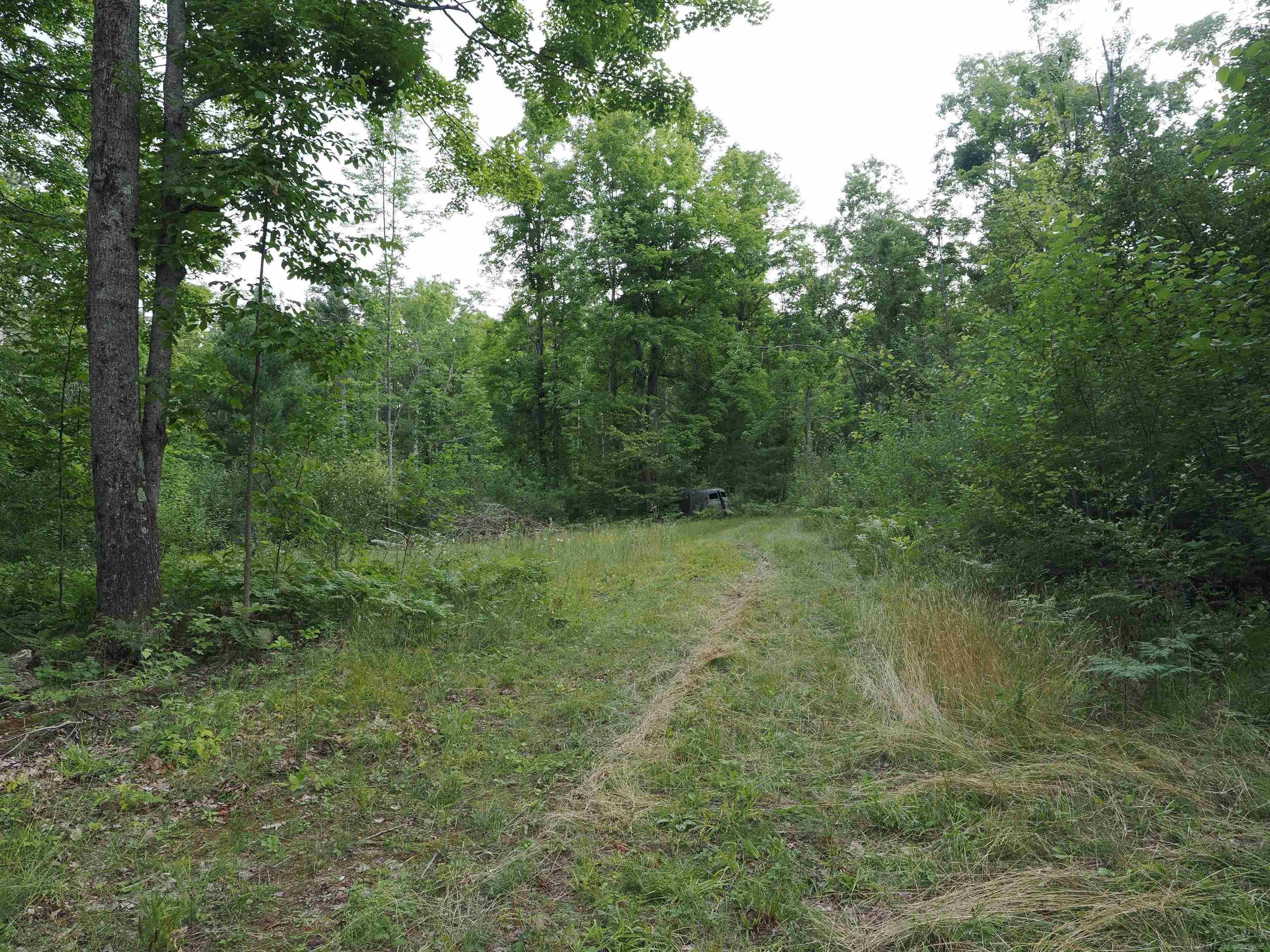 Xxx Emig Road Comins, MI 48619 - Photo 38 of 63 Gallery Image 38