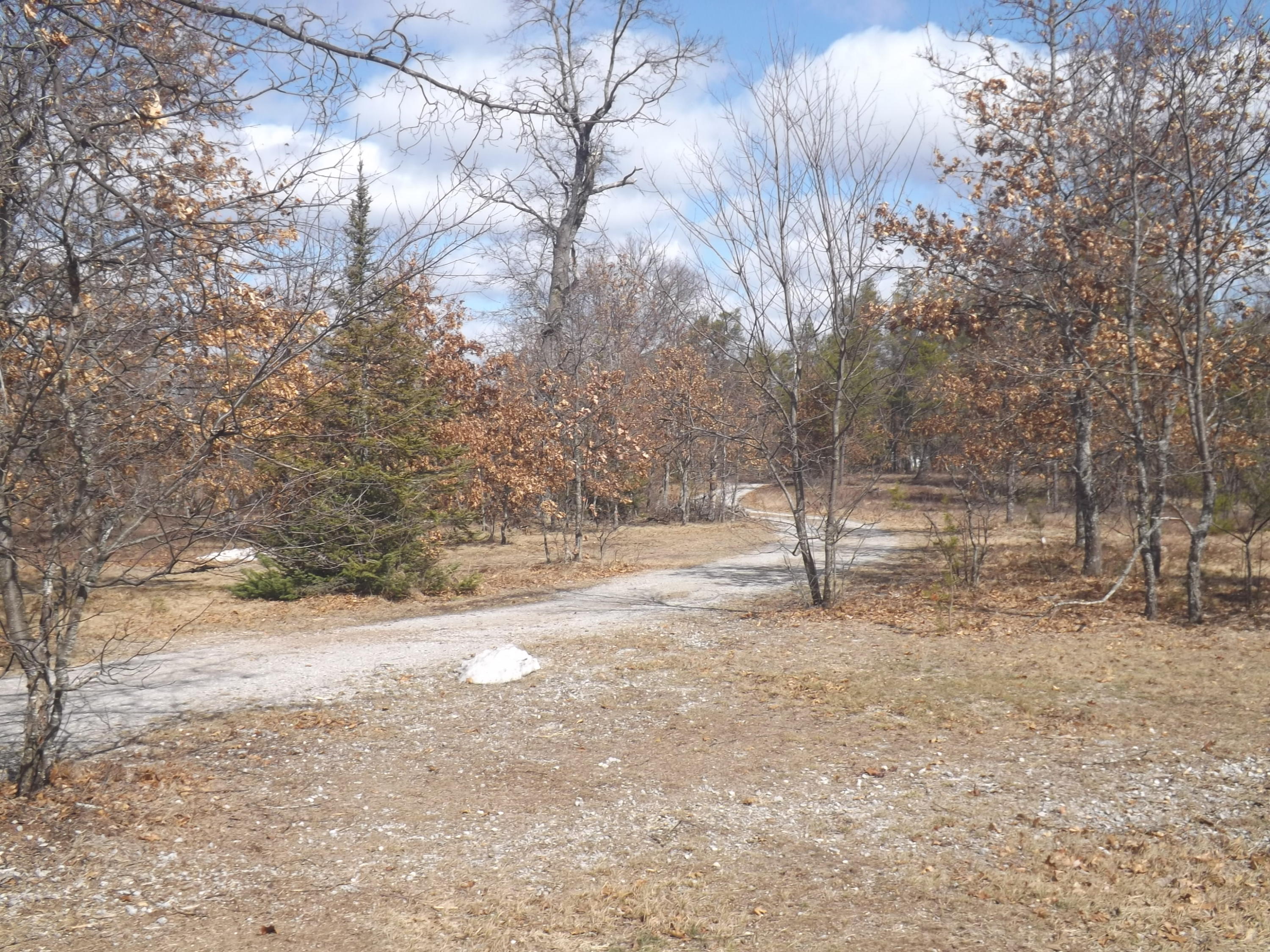 315 Mapes Road Luzerne, MI 48636 - Photo 3 of 25 Gallery Image 3