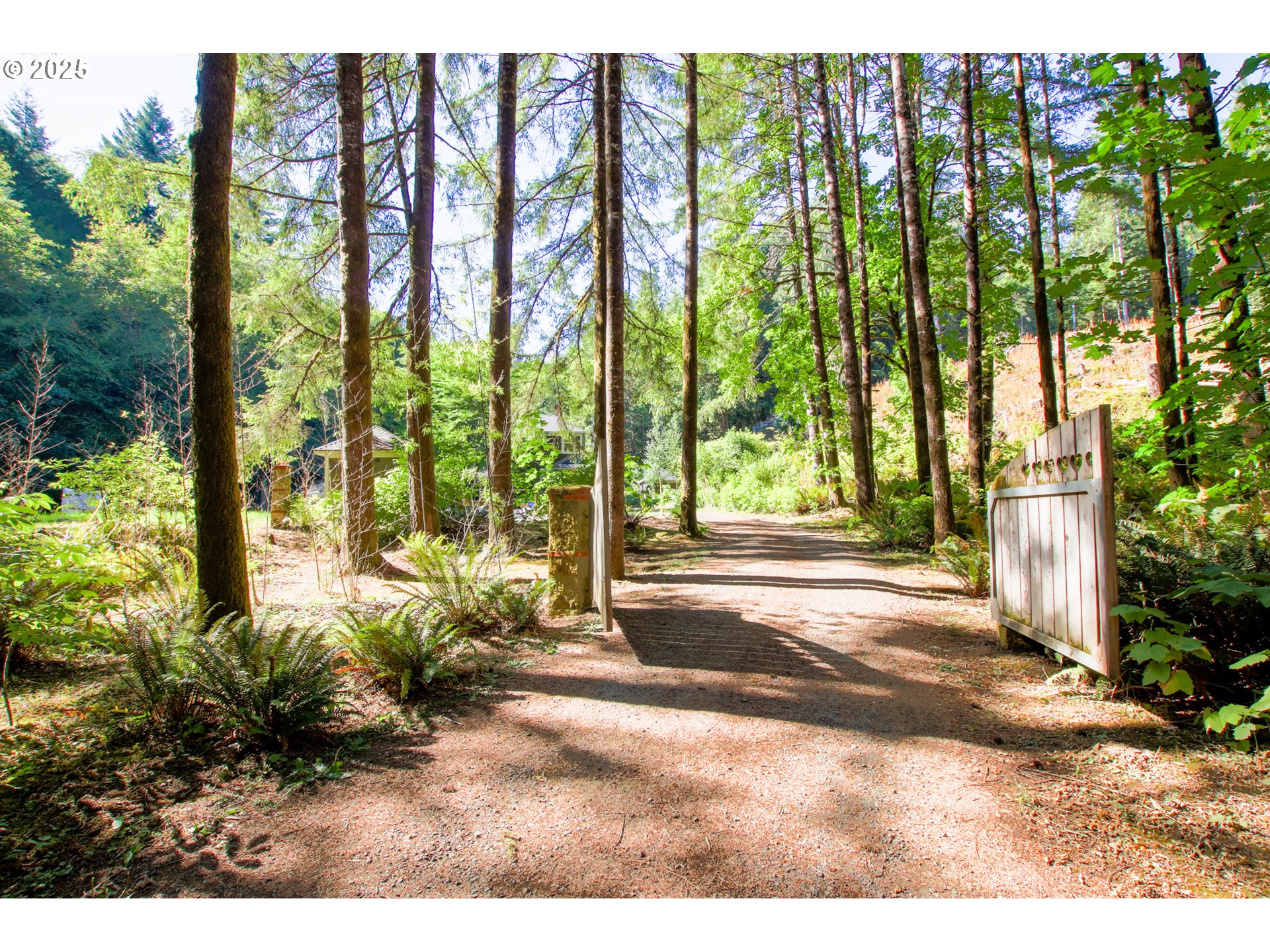 92976 Deadwood Creek Road Deadwood, OR 97430 - Photo 2 of 46 a view of backyard of the house