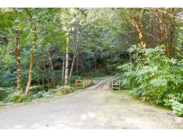 a view of a house with a yard potted plants and a large tree