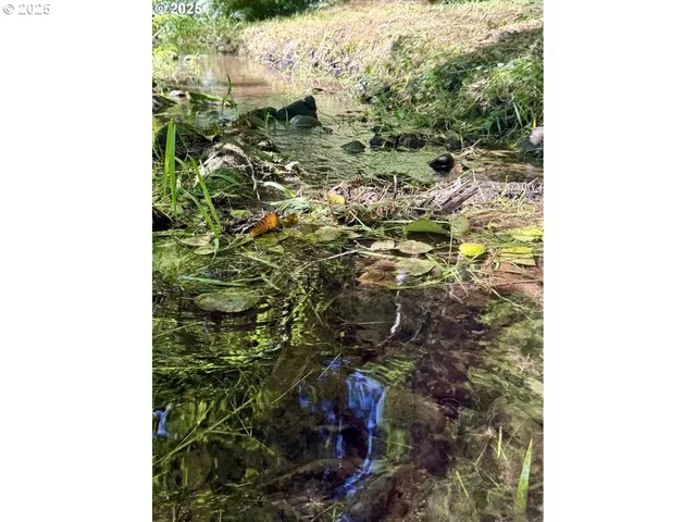 $1,050,000 | 92976 Deadwood Creek Road, Deadwood, OR 97430