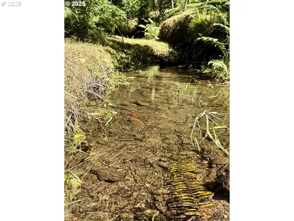 $995,000 | 92976 Deadwood Creek Road, Deadwood, OR 97430