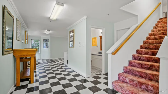 a view of a garden with pathway