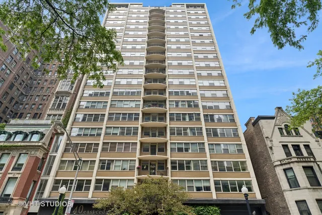 $615,000 | 40 East Cedar Street, Unit 8CD, Chicago, IL 60611
