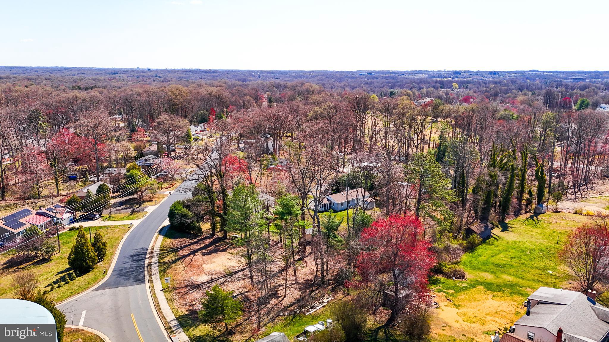 12205 Waples Mill Road Oakton, VA 22124 - Photo 2 of 4 Serene suburban landscape in vibrant spring hues.