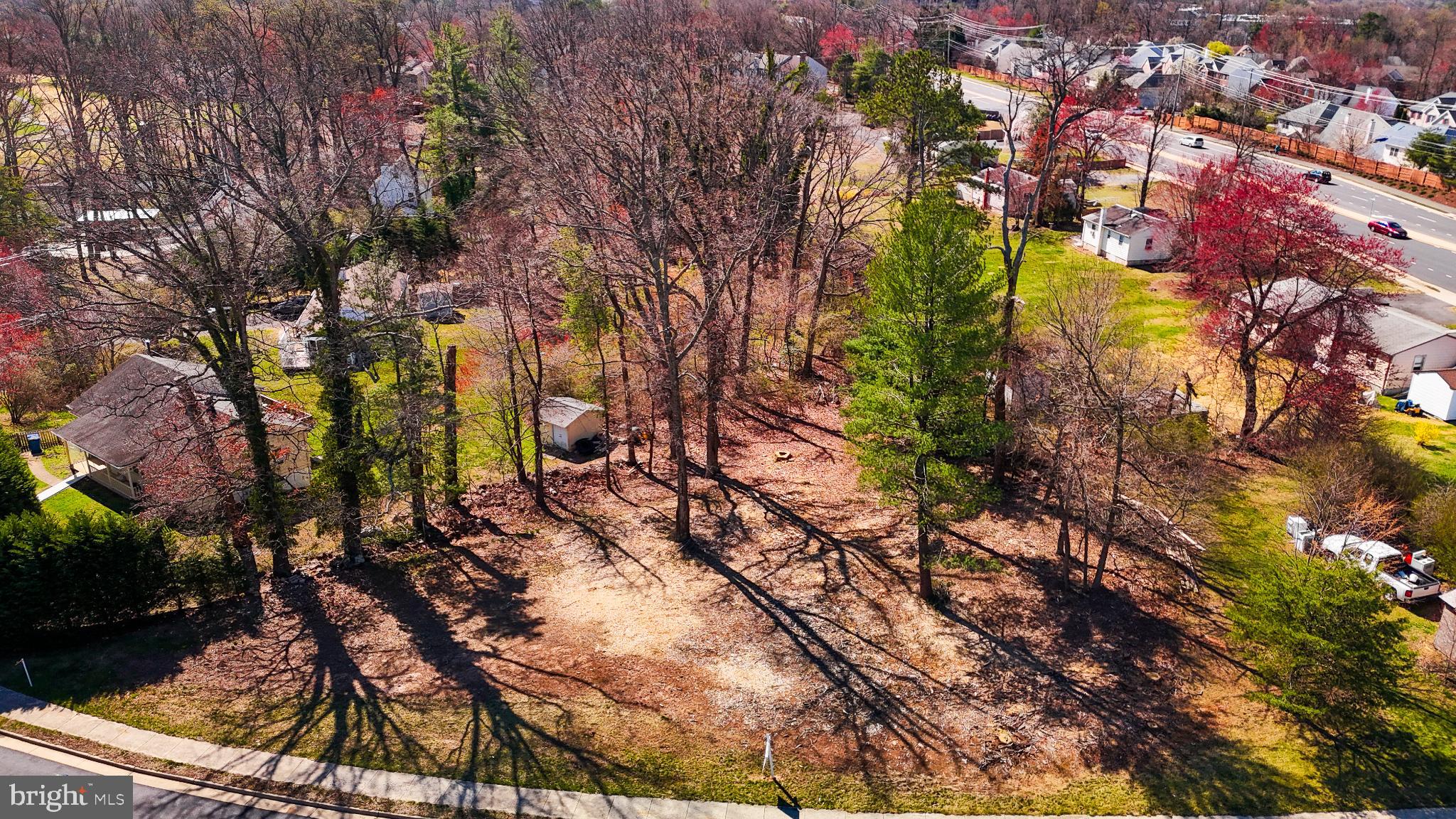 12205 Waples Mill Road Oakton, VA 22124 - Photo 3 of 4 Serene wooded lot with autumn hues.