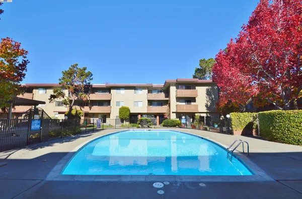 a view of a swimming pool with a lounge chair