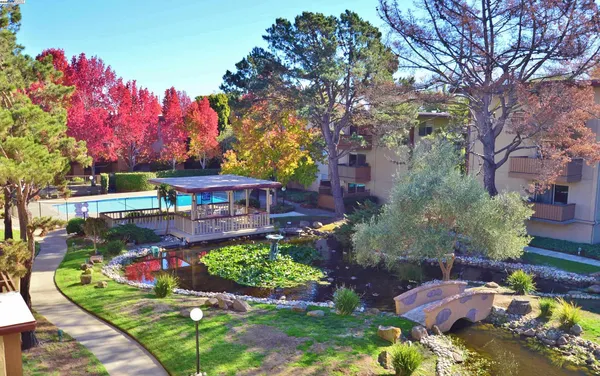 a view of a swimming pool with a patio