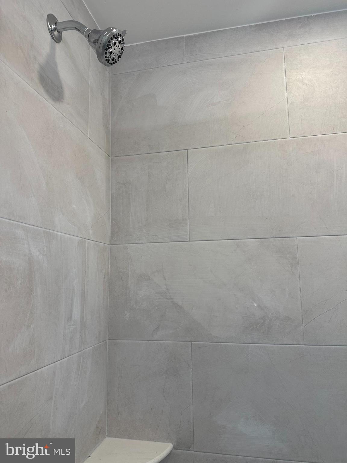 1929 Titan Street Philadelphia, PA 19146 - Photo 8 of 20 a bathroom with a shower