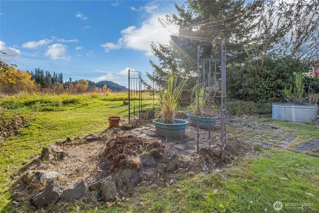 a view of a yard with a house in the background