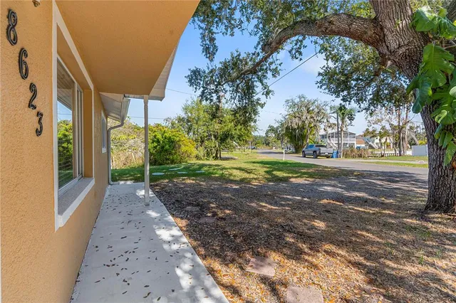 a view of a yard with plants