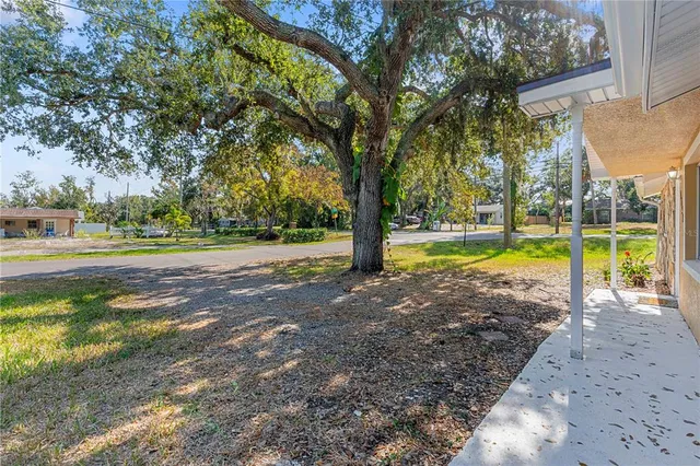 a view of a yard with palm trees