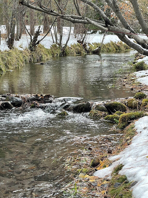 12625 Ivie Lane Old Station, CA 96071 - Photo 5 of 25 IMG_3999