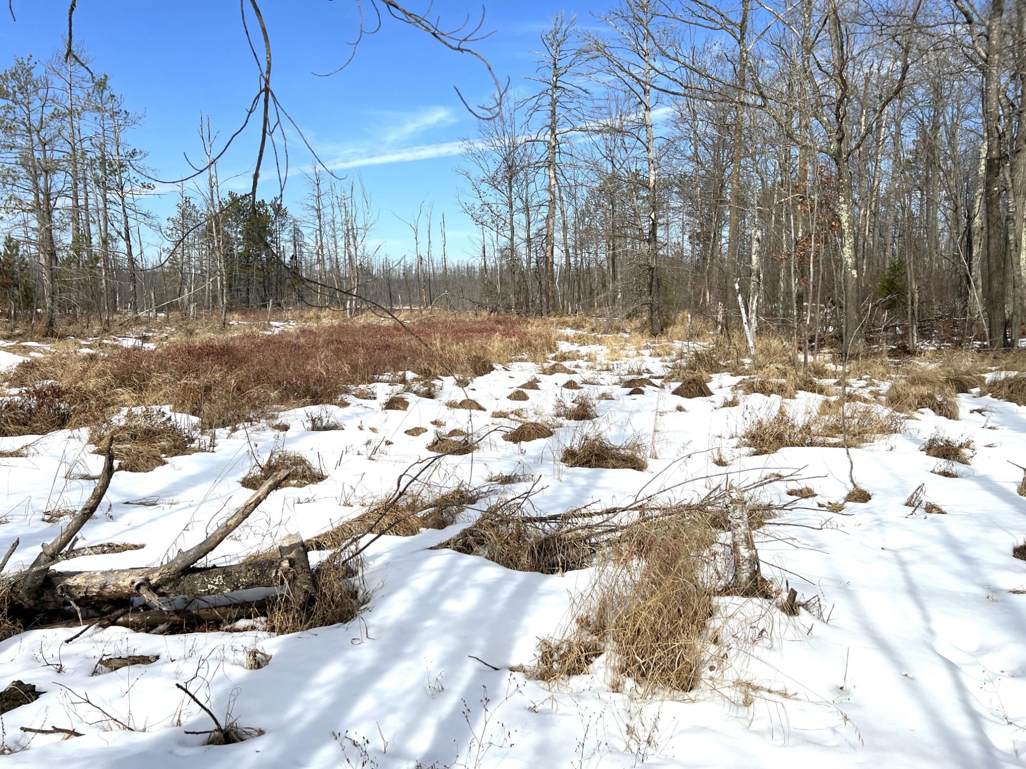 7624 Red Fox Run Road Rhinelander, WI 54501 - Photo 58 of 75 Gallery Image 58