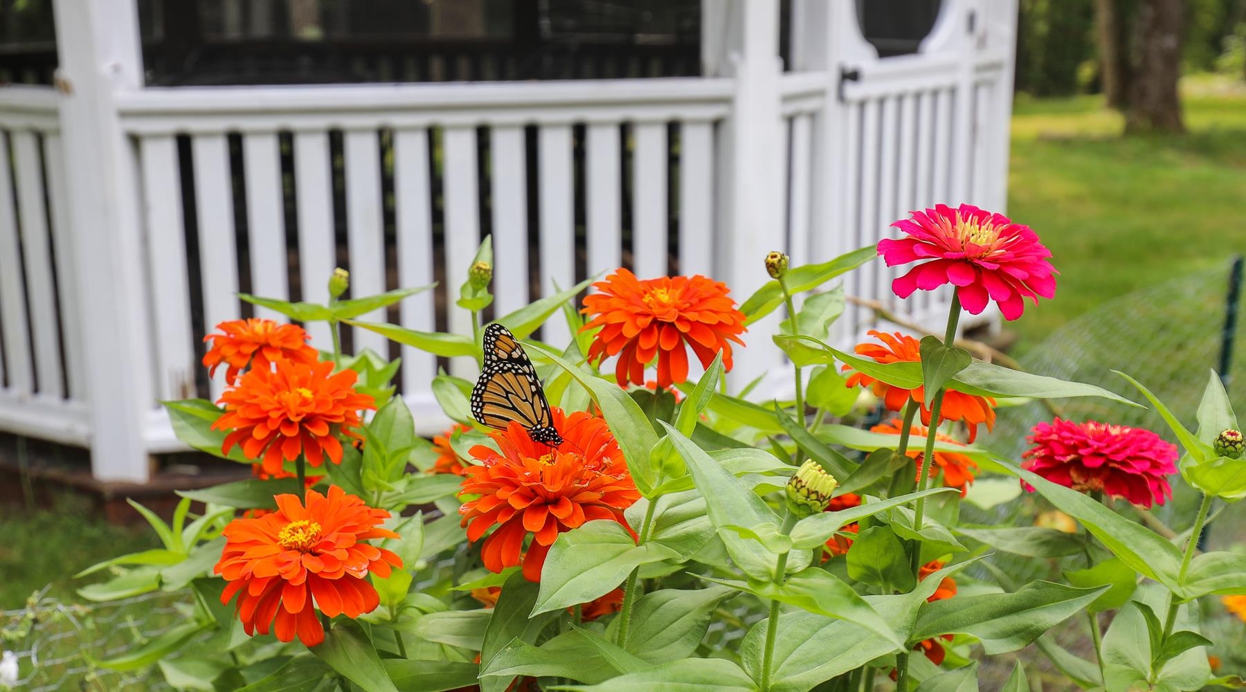 581 East Side Drive Alton, NH 03810 - Photo 39 of 39