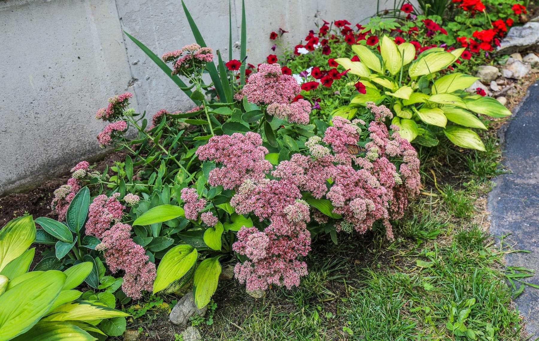 581 East Side Drive Alton, NH 03810 - Photo 10 of 39