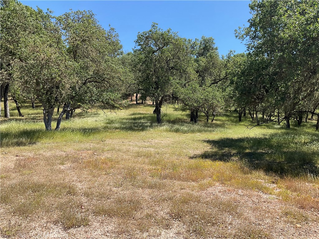 2 Interlake Road Bradley, CA 93426 - Photo 18 of 20 Gallery Image 18