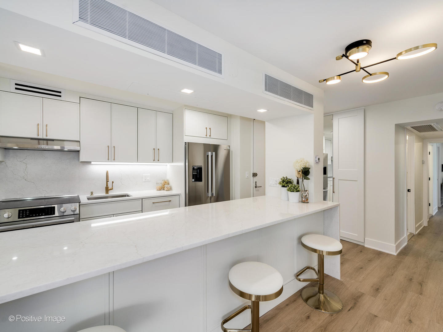 1310 North Ritchie Court, Unit 27C Chicago, IL 60610 - Photo 2 of 30 a kitchen with stainless steel appliances a sink a stove a refrigerator cabinets and living room view