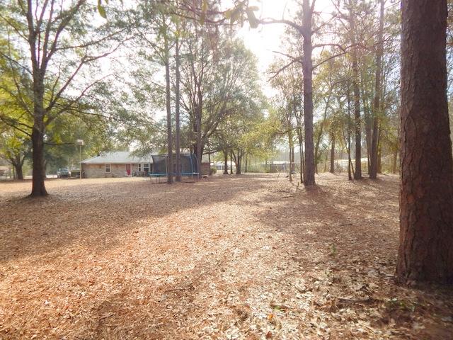 6076 Bud Moulton Road Crestview, FL 32536 - Photo 36 of 45 Gallery Image 36